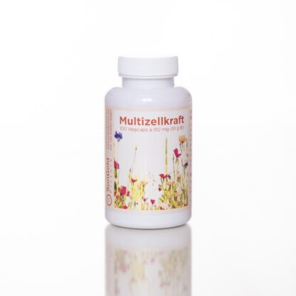 Multizellkraft – Bild 2